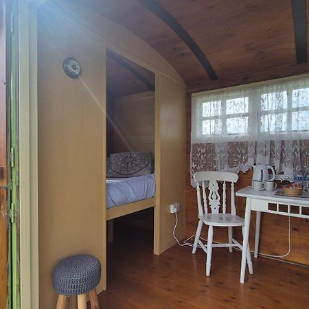 Coast Path Camping Saint Ishmaels  Εξωτερικό φωτογραφία